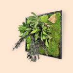 Κάδρο με Βρύα & Φυλλώματα