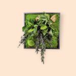 Κάδρο με Βρύα & Φυλλώματα